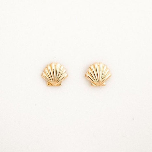 Sea shells earrings gold 