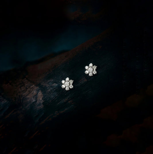 Silver diamond earrings screw closure 