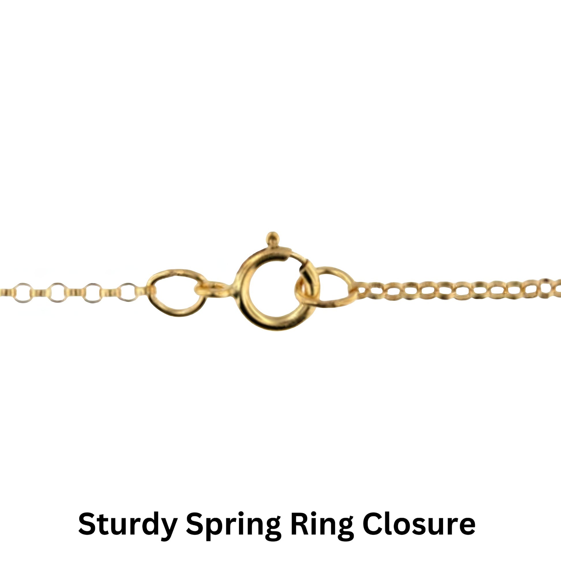 Spring ring closure 